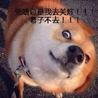 科维托娃主场落户苏州常州冲上热搜(苏州市副市长苏爱国突然离世最新消息)